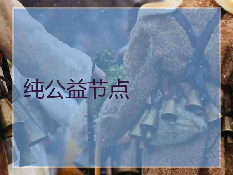 纯公益节点