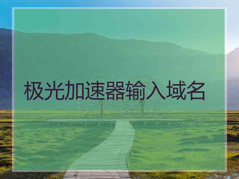 极光加速器输入域名