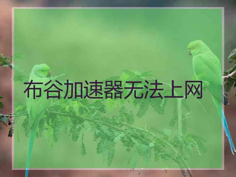 布谷加速器无法上网
