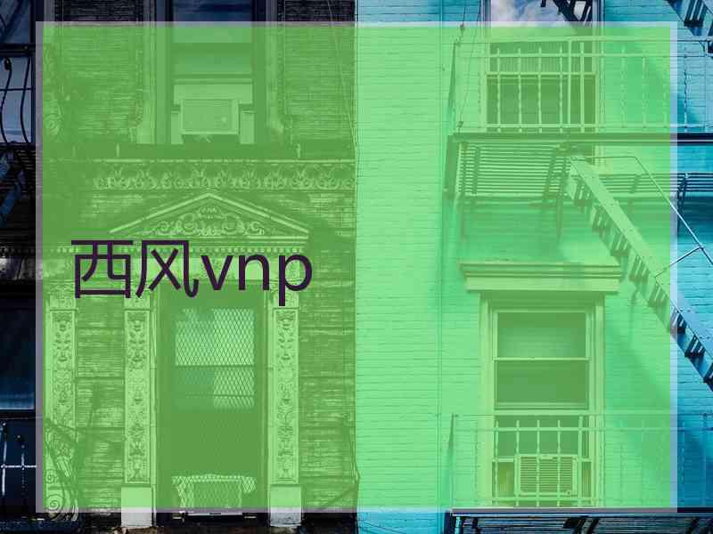 西风vnp