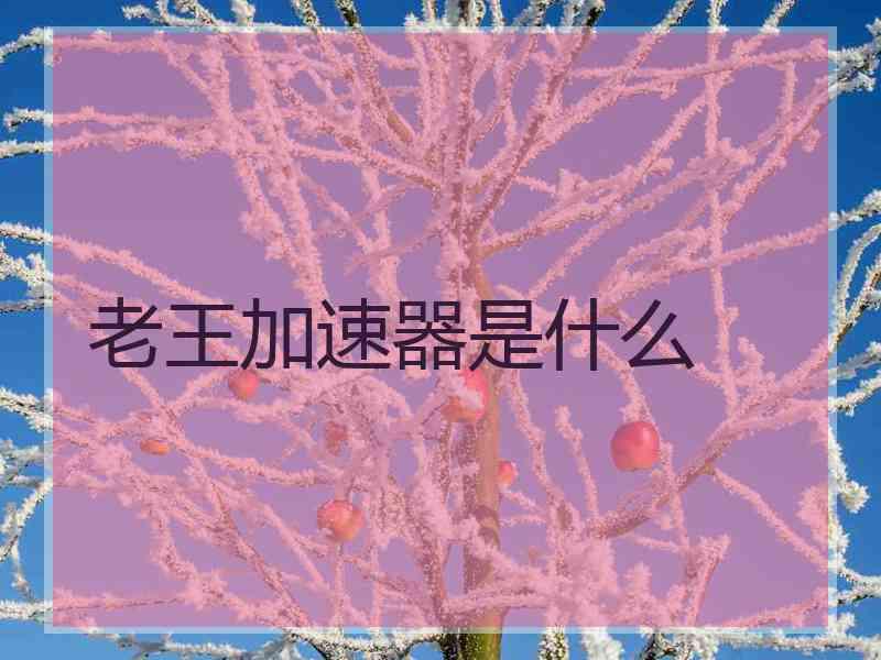 老王加速器是什么