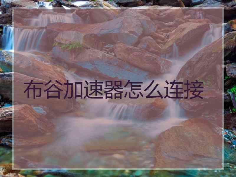 布谷加速器怎么连接