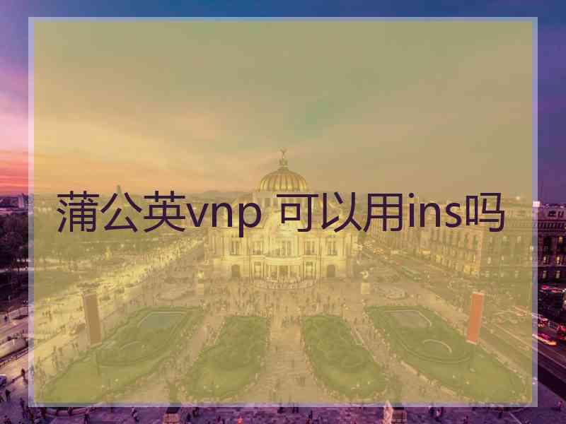 蒲公英vnp 可以用ins吗