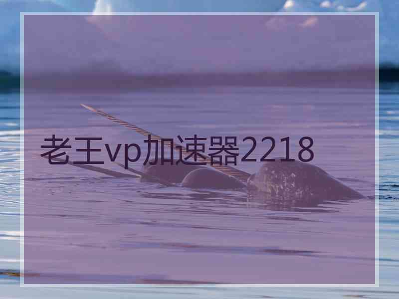 老王vp加速器2218
