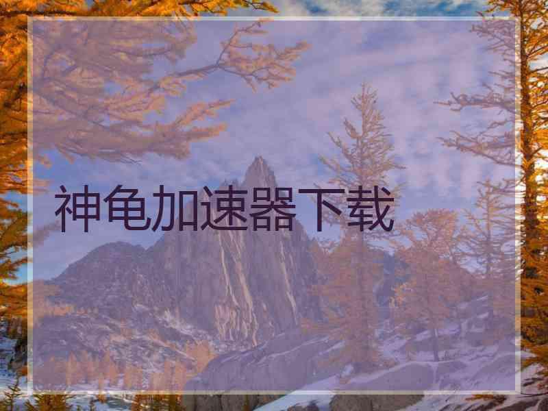 神龟加速器下载