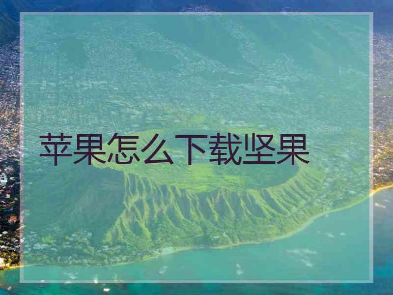 苹果怎么下载坚果