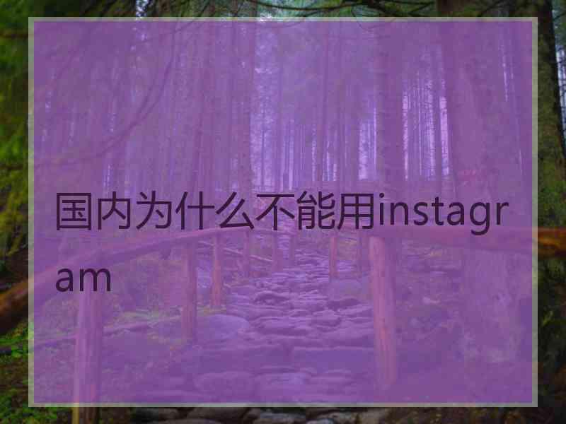 国内为什么不能用instagram