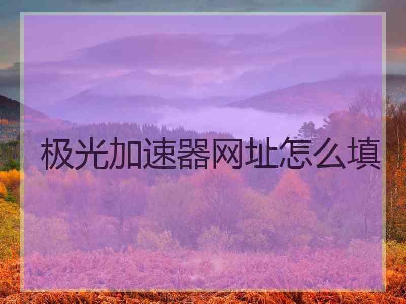 极光加速器网址怎么填