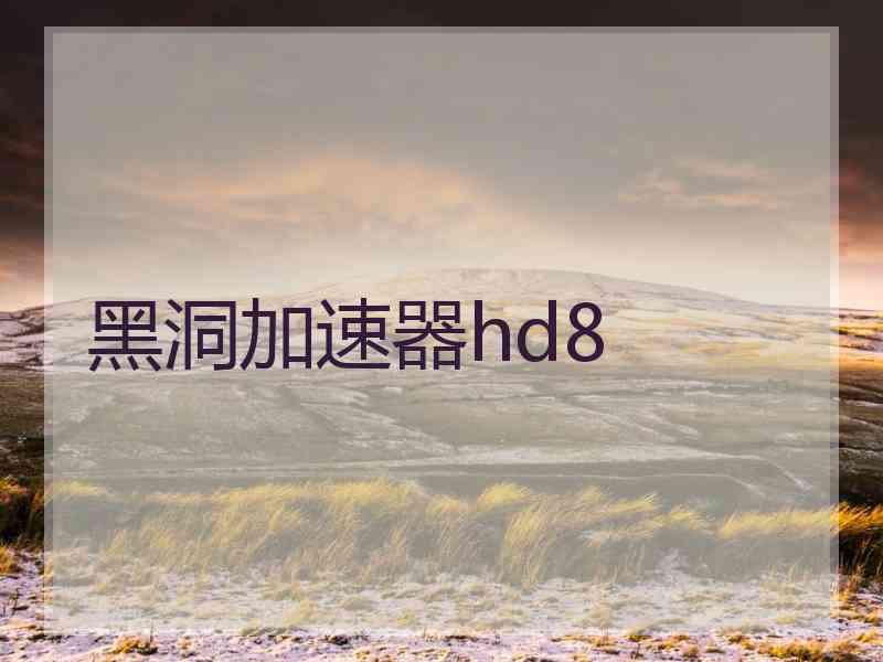 黑洞加速器hd8