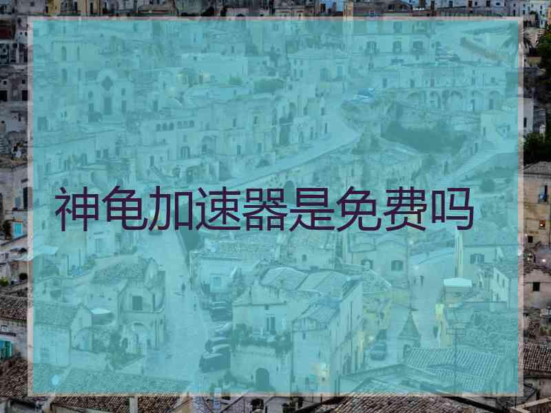 神龟加速器是免费吗