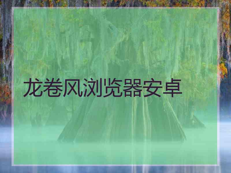 龙卷风浏览器安卓