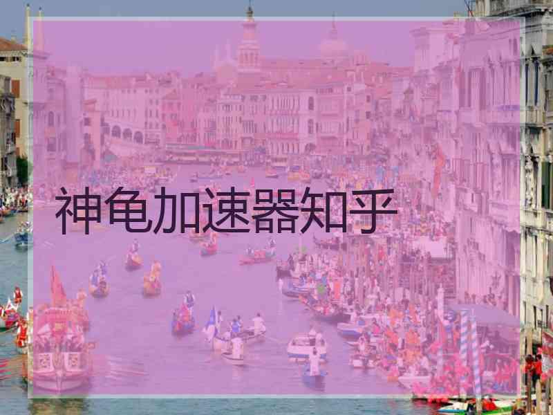 神龟加速器知乎