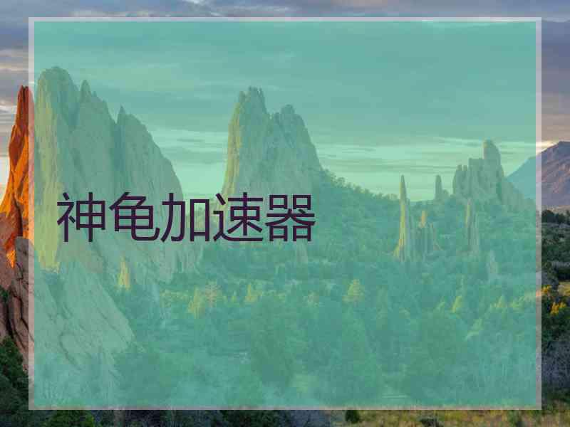 神龟加速器