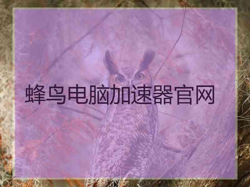 蜂鸟电脑加速器官网
