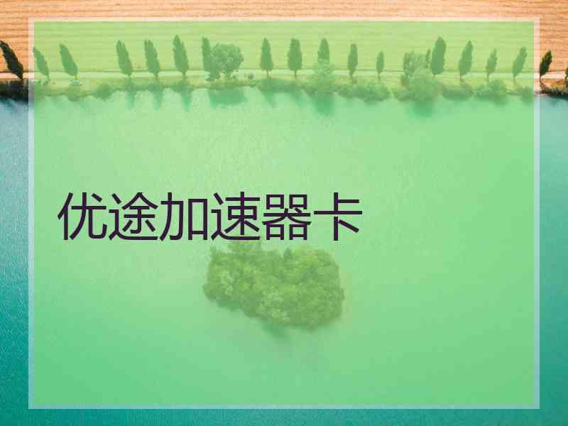 优途加速器卡