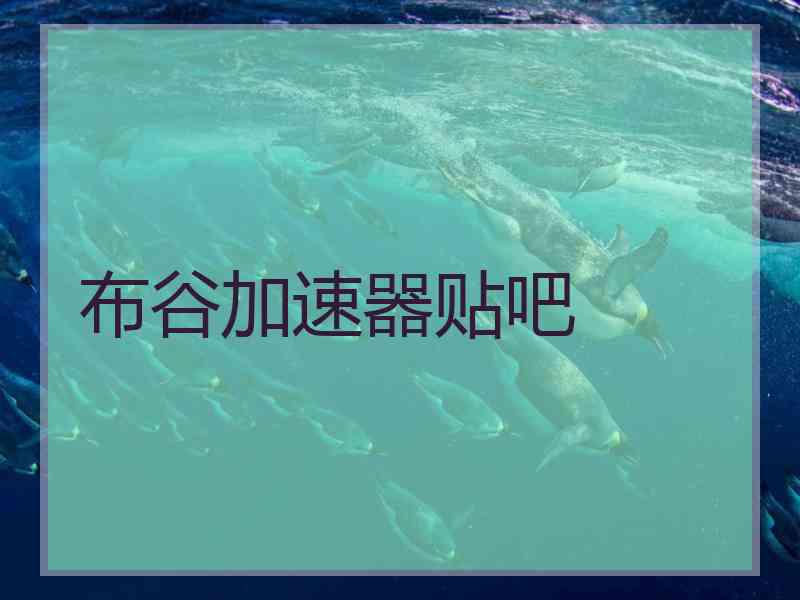 布谷加速器贴吧