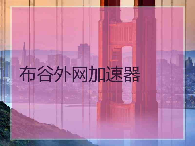 布谷外网加速器