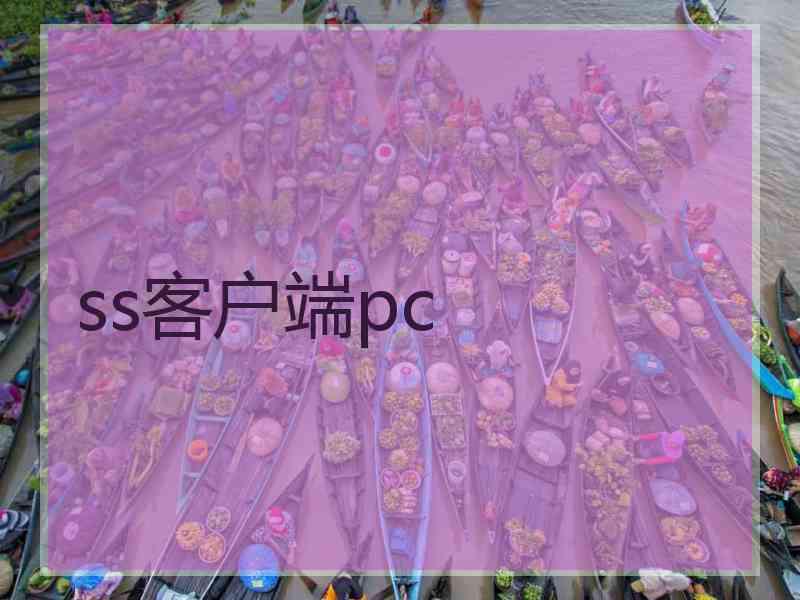 ss客户端pc