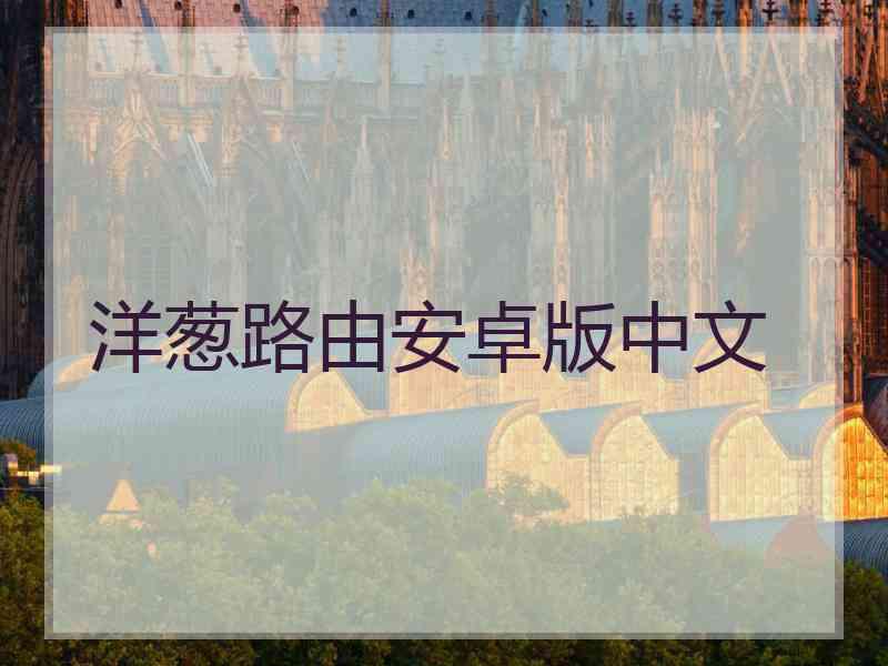 洋葱路由安卓版中文