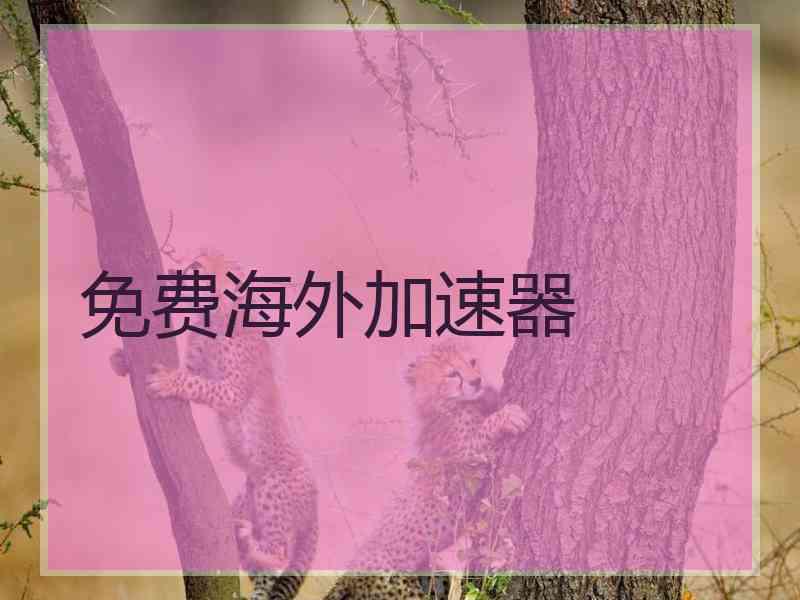 免费海外加速器