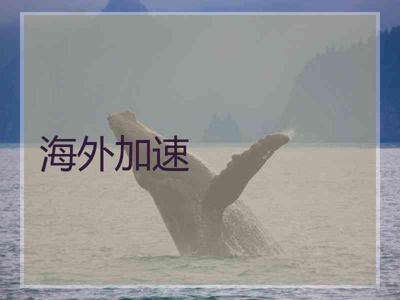 海外加速